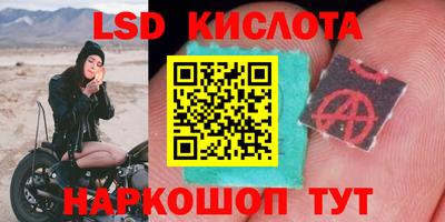 прущий лед Будённовск