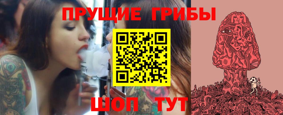Псилоцибиновые грибы Cubensis  Вход с VPN  Солнечногорск 